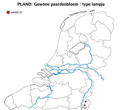 lampje
